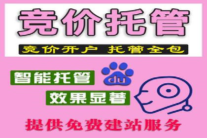 包年竞价操作指南：实战案例助您快速上手